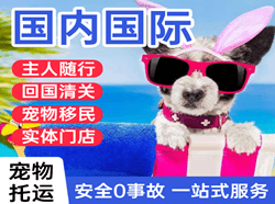 扎兰屯空运国际宠物托运 【国